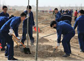 和寧公司組隊參加寧夏寧東基地千人義務(wù)植樹活動