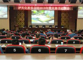 瀘天化黨委召開支部書記例會(huì)部署“大學(xué)習(xí) 大調(diào)研 大落實(shí)”活動(dòng)