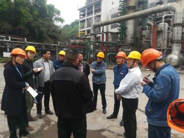 四川省應(yīng)急管理廳督查公司危險化學(xué)品專項整治工作