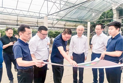 瀘州市委常委、組織部長曹斌率隊(duì)調(diào)研瀘天化納溪現(xiàn)代農(nóng)業(yè)種植園項(xiàng)目